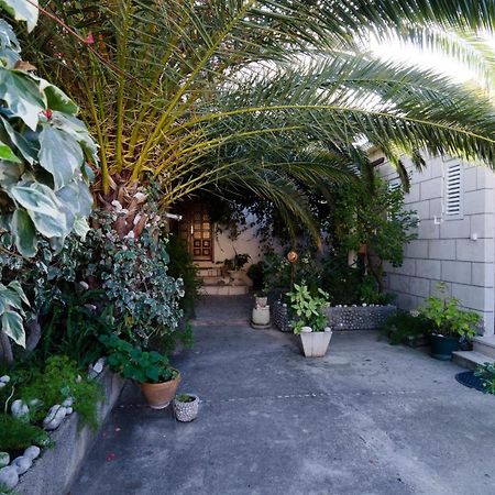 Apartment & Room Cvita Dubrovnik Ngoại thất bức ảnh