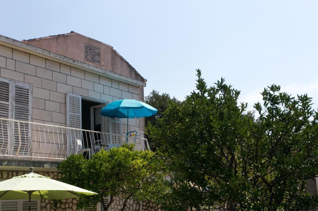 Apartment & Room Cvita Dubrovnik Ngoại thất bức ảnh